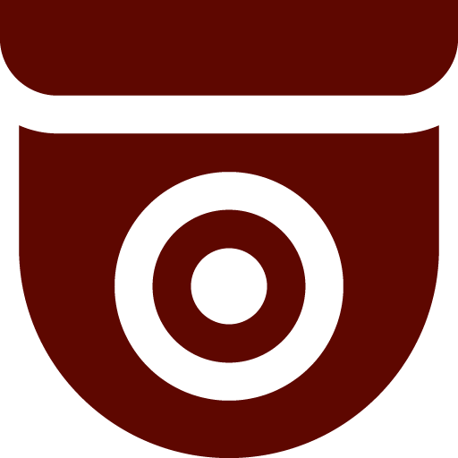 Vigilância 24 horas - Lemuxus